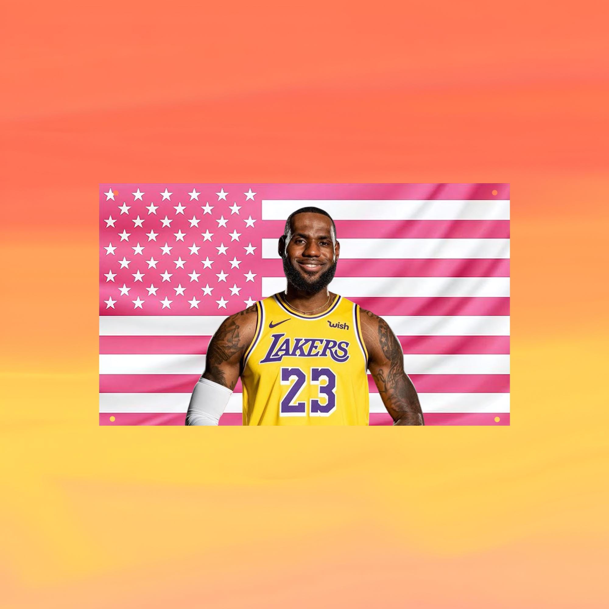LeBron James Pink US Wall Tapestry Flag, Basketball Wall Art, Sports Bedroom Decor, Fan Banner