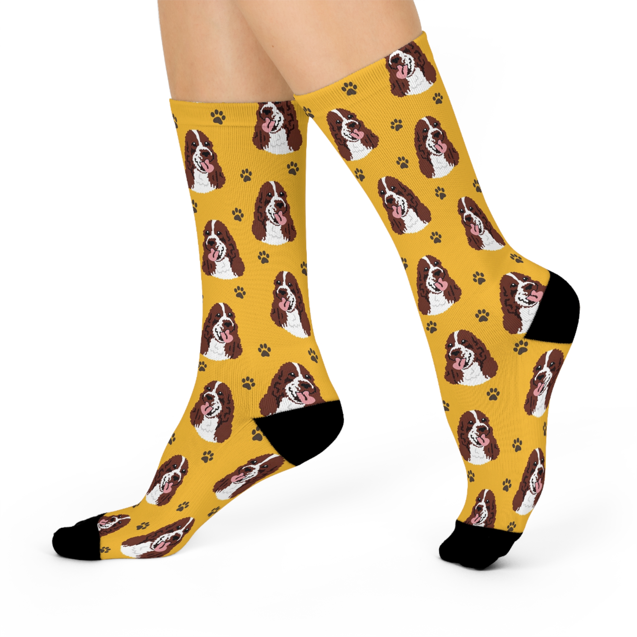 Springer Spaniel Dog Socks, Gift Ideas for Pet Lovers