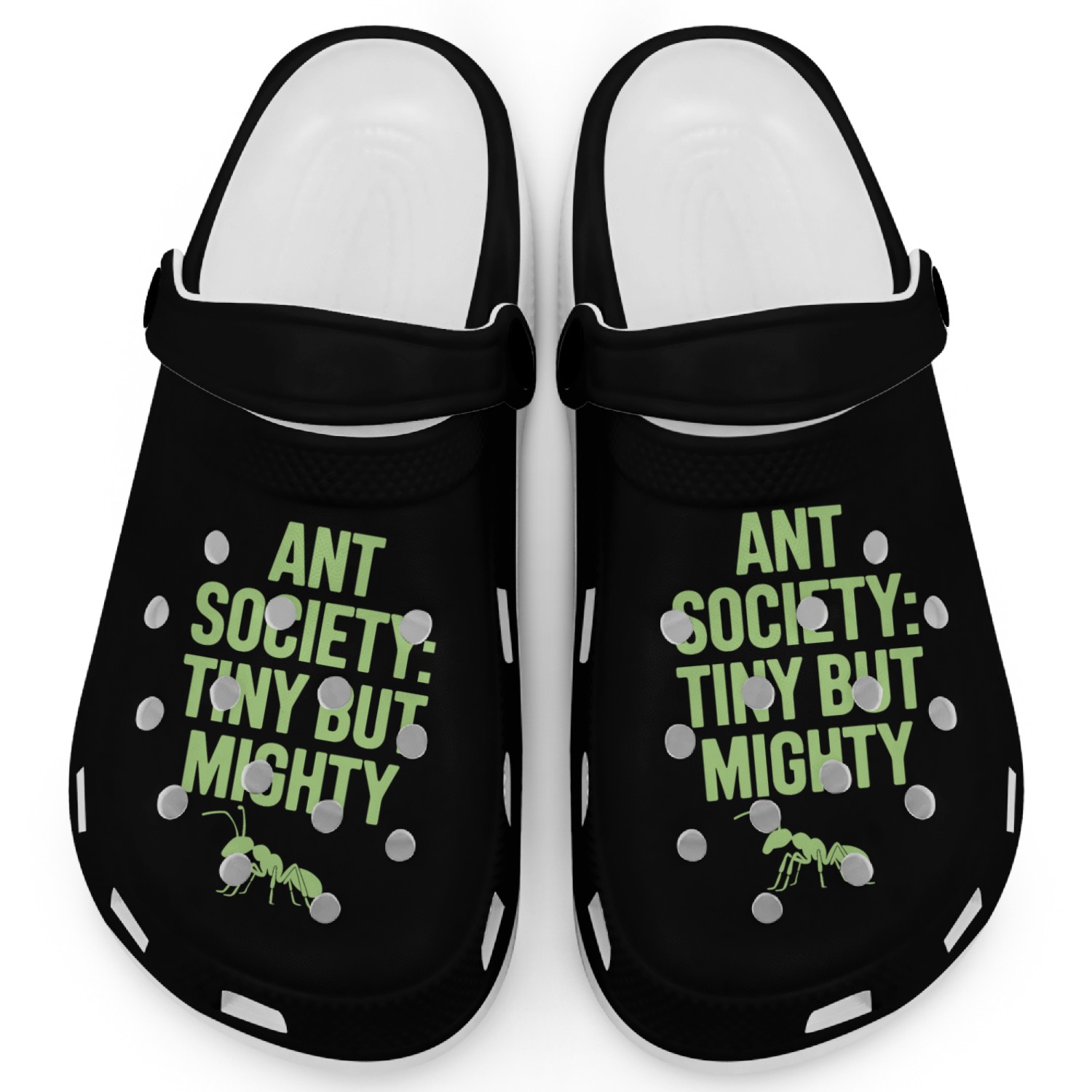Explore the Fascinating World of Ant Keeping with Clogs