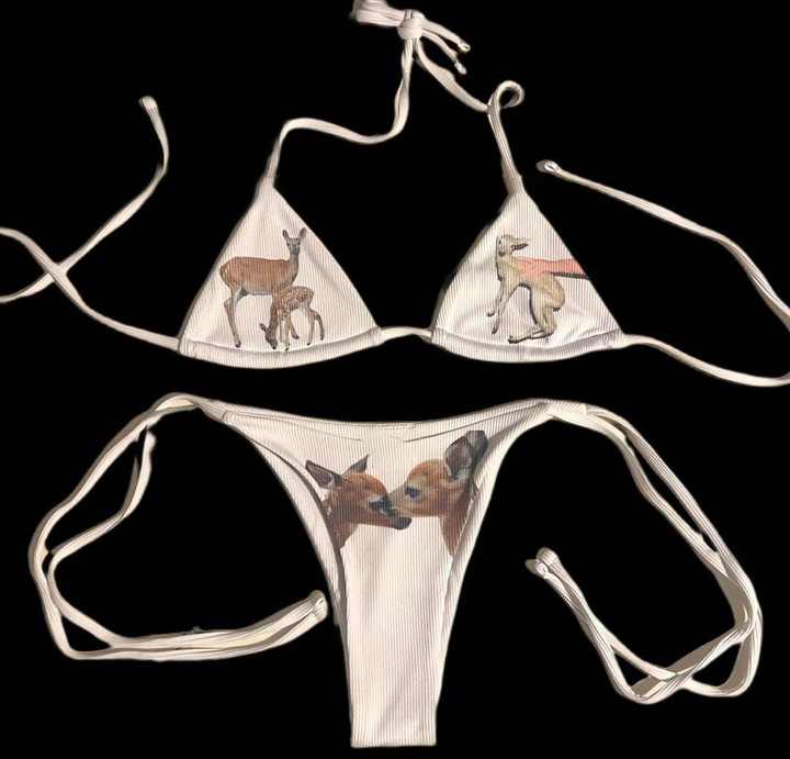 Women’s Push-Up Padded Bikini Set Thong Two-Piece Swimsuit Beachwear
