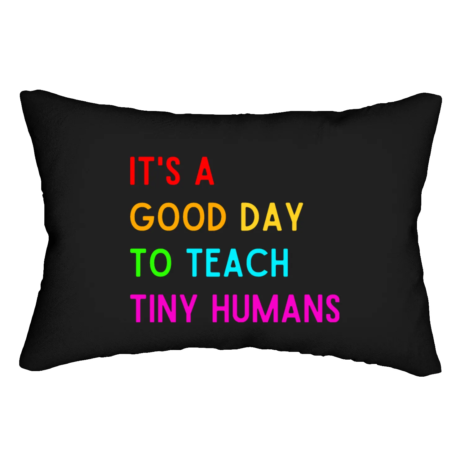 It s A Good Day To Teach Tiny Humans Lumbar Pillows