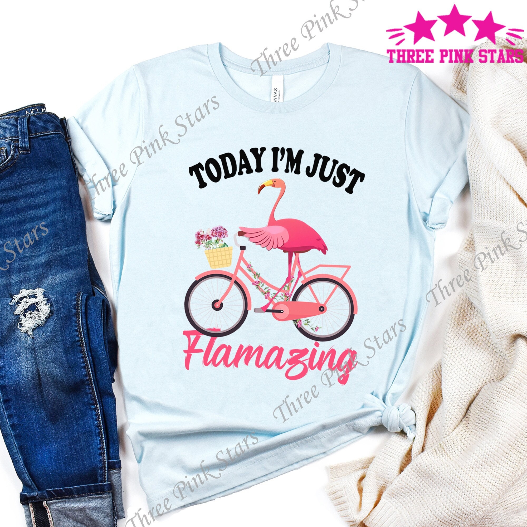 Flamingo Shirt for Women, Today I'm Just Flamazing T-Shirt, Gift for Flamingo Lover, Pink Flamingo Tee Shirt, Flamingo Gift for Women E3132