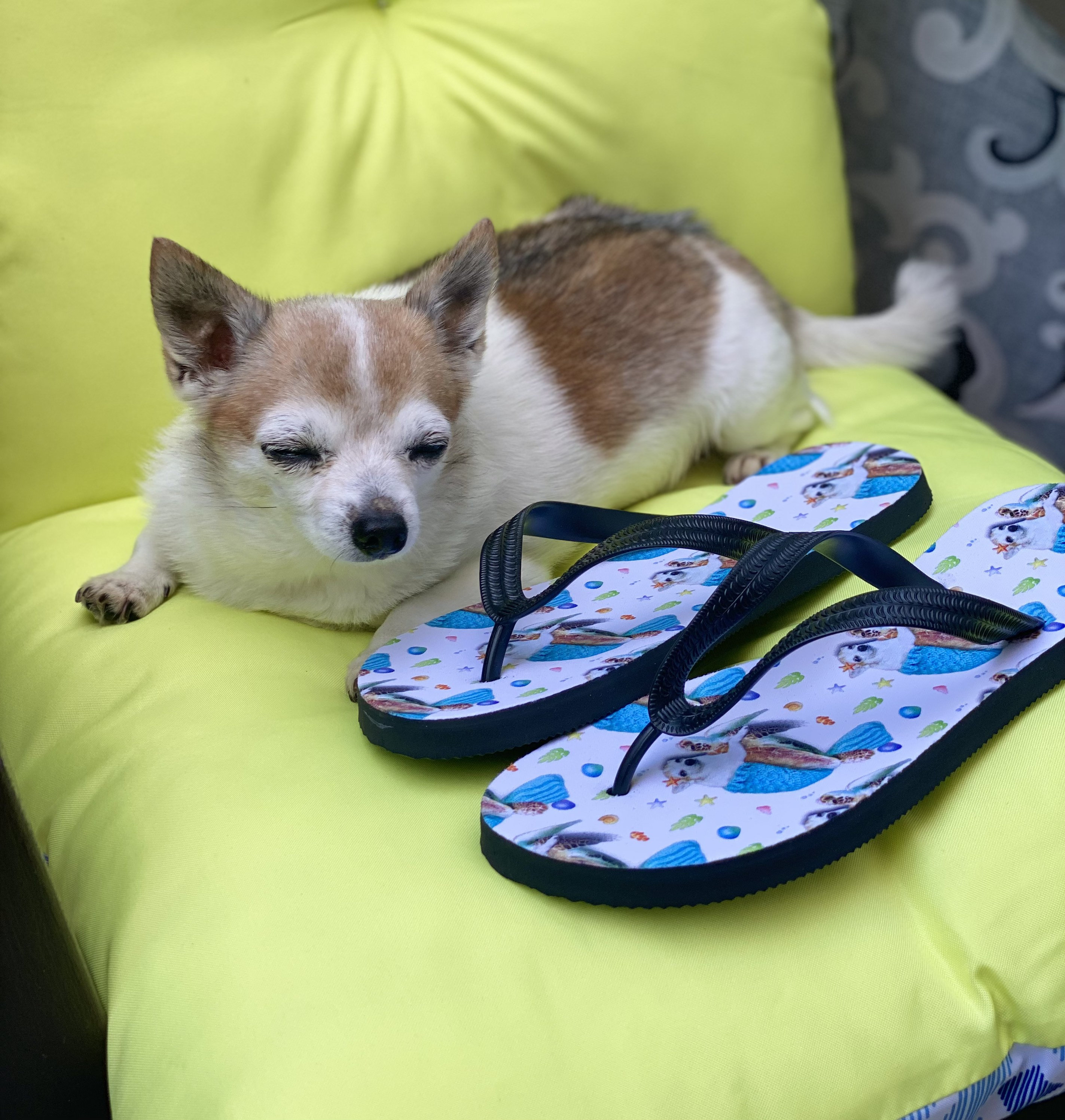Lil Hobb Mermaid Flip-Flops