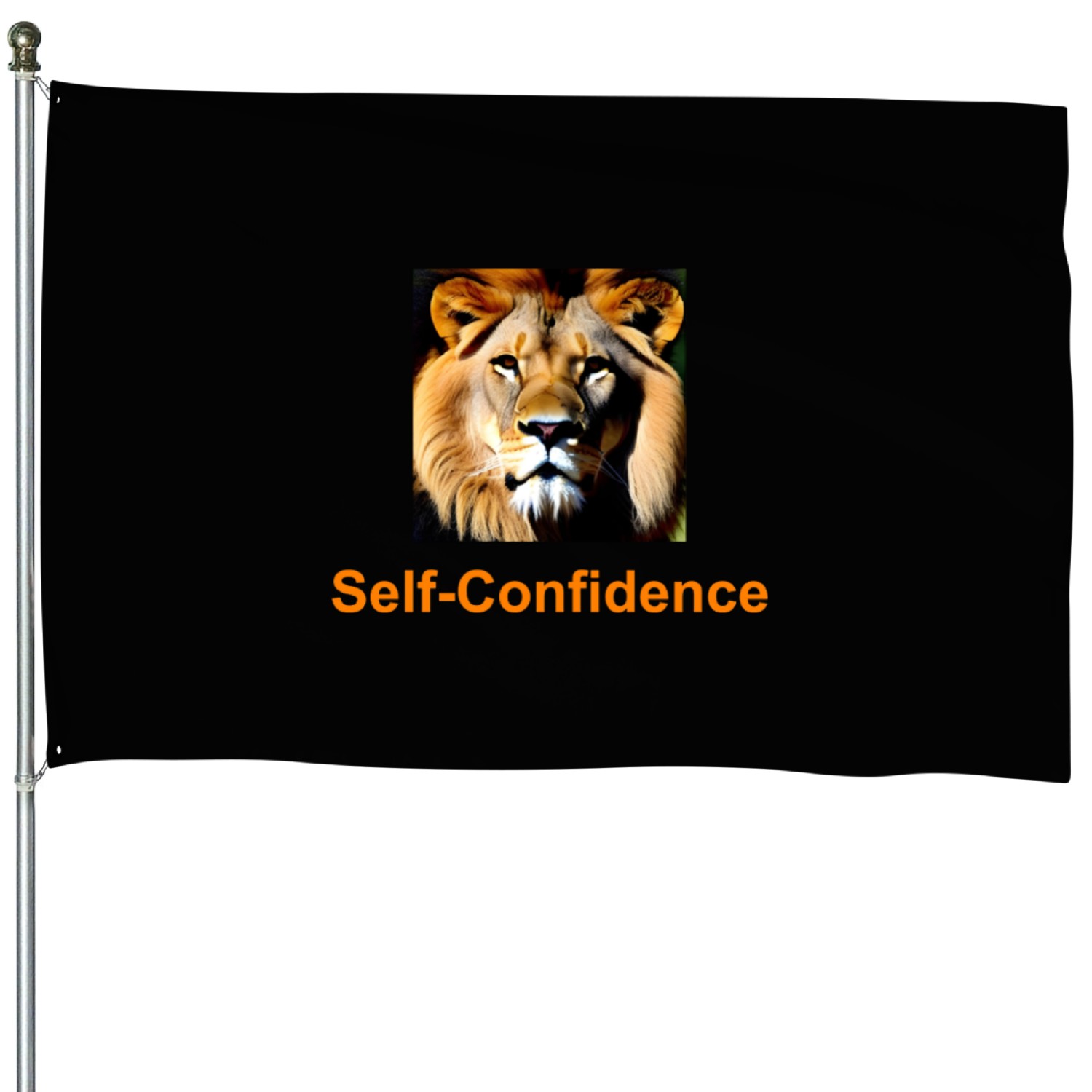 Self-Confidence House Flags