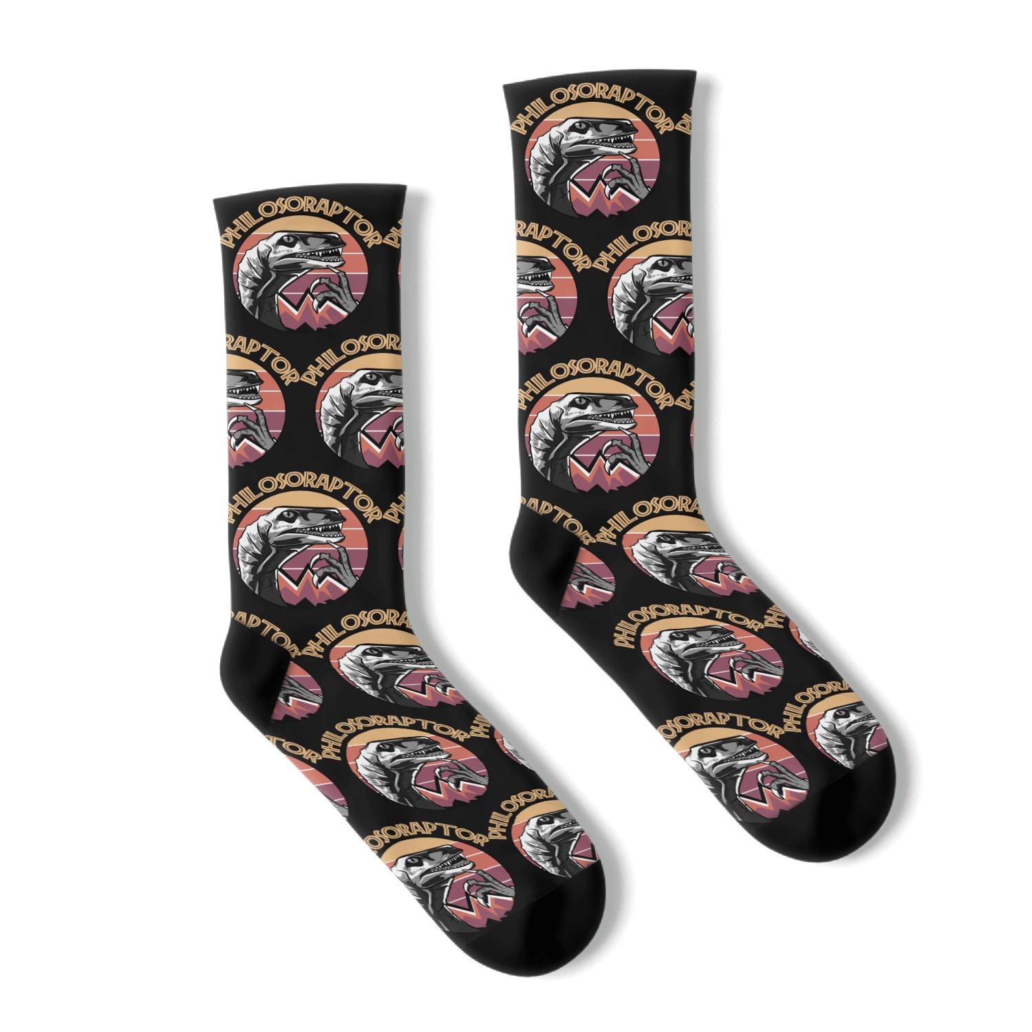 Philosoraptor Socks