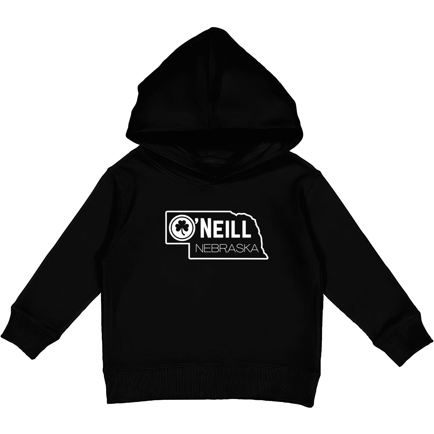 O'NEILL STATE LOGO Kids Pullover Hoodies