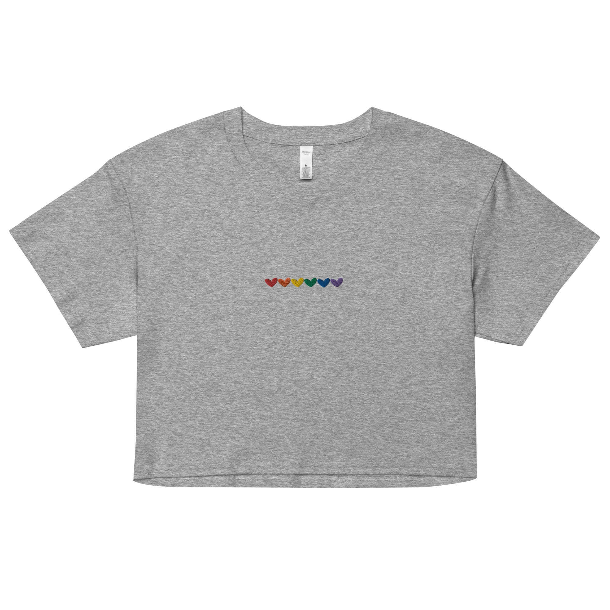 Gay Shirt, Human Rights Shirt, Equality Shirt, LGBTQ Crop Top, Pride Crop Top