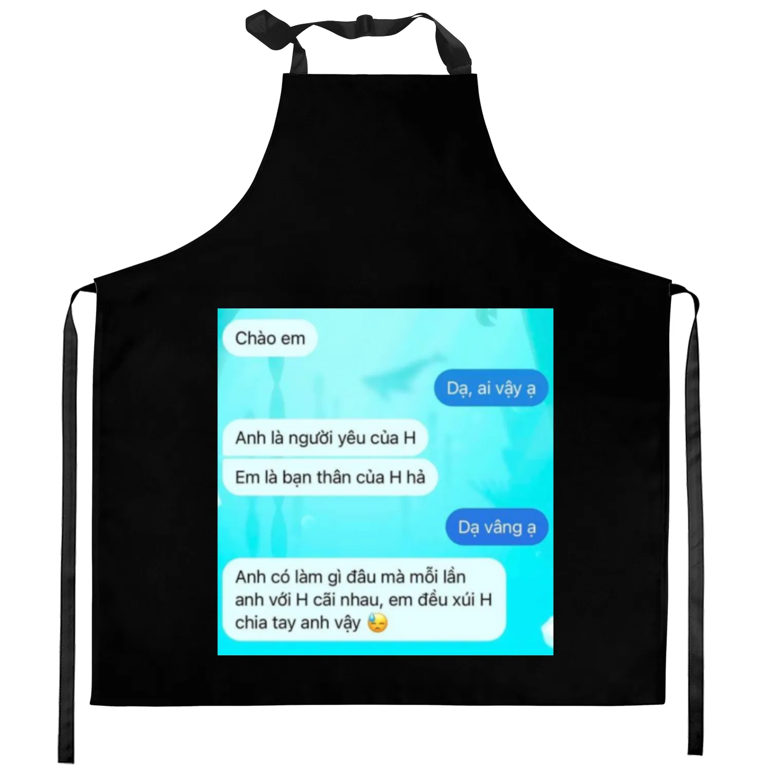 wwhy 1117 Kitchen Aprons