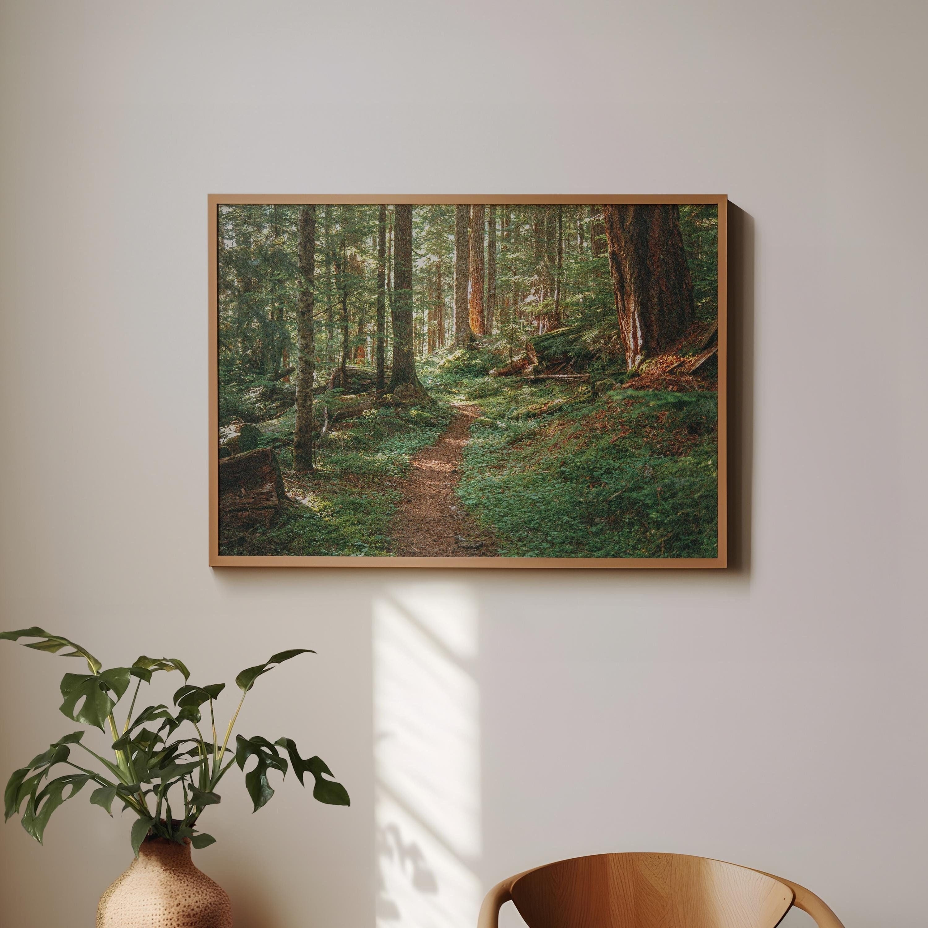 Pacific Northwest Forest Print Enchanted Forest Cottagecore Wall Art Washington Nature Photography PNW Home Decor Gift 35mm Film Poster Wood