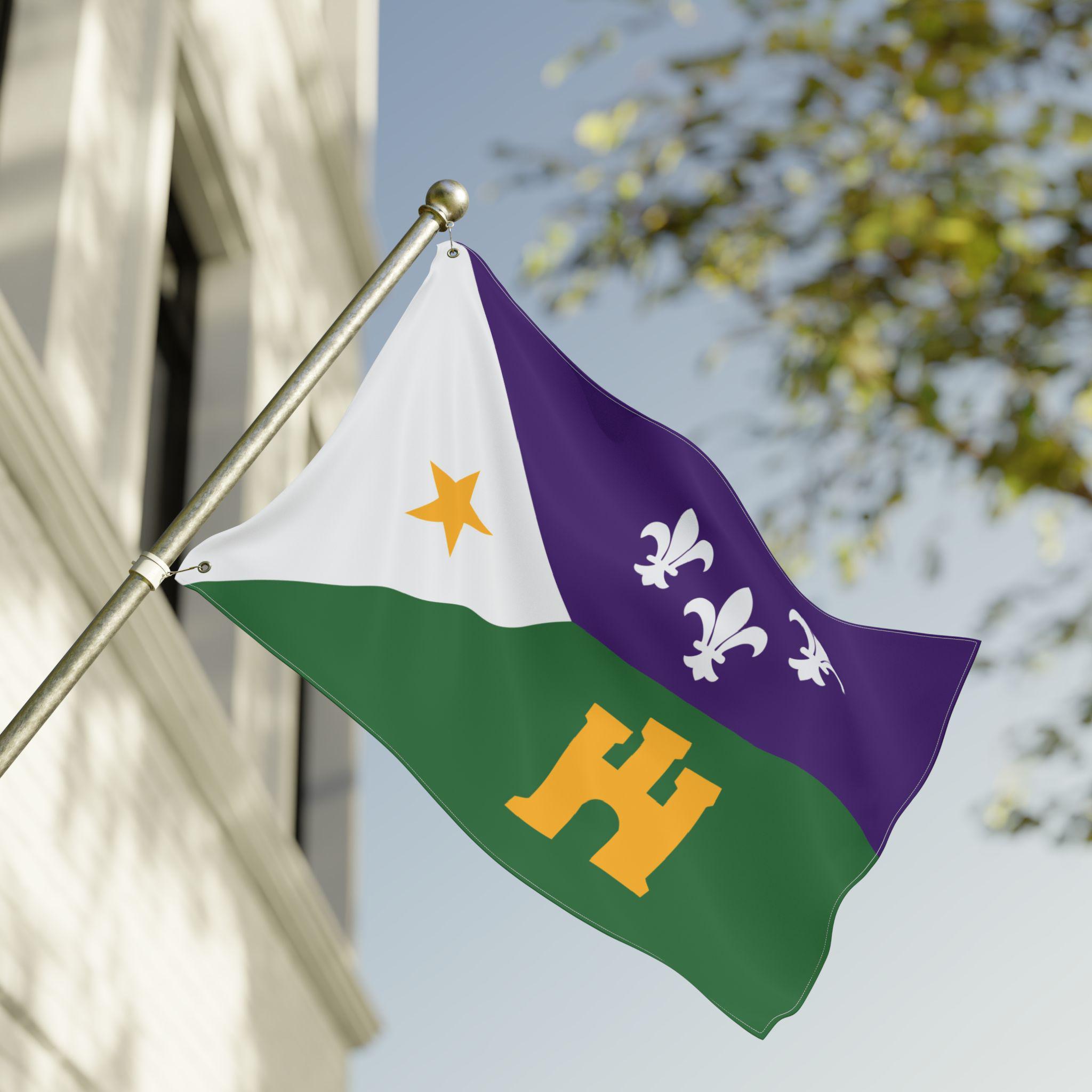 Mardi Gras Acadiana House Flag