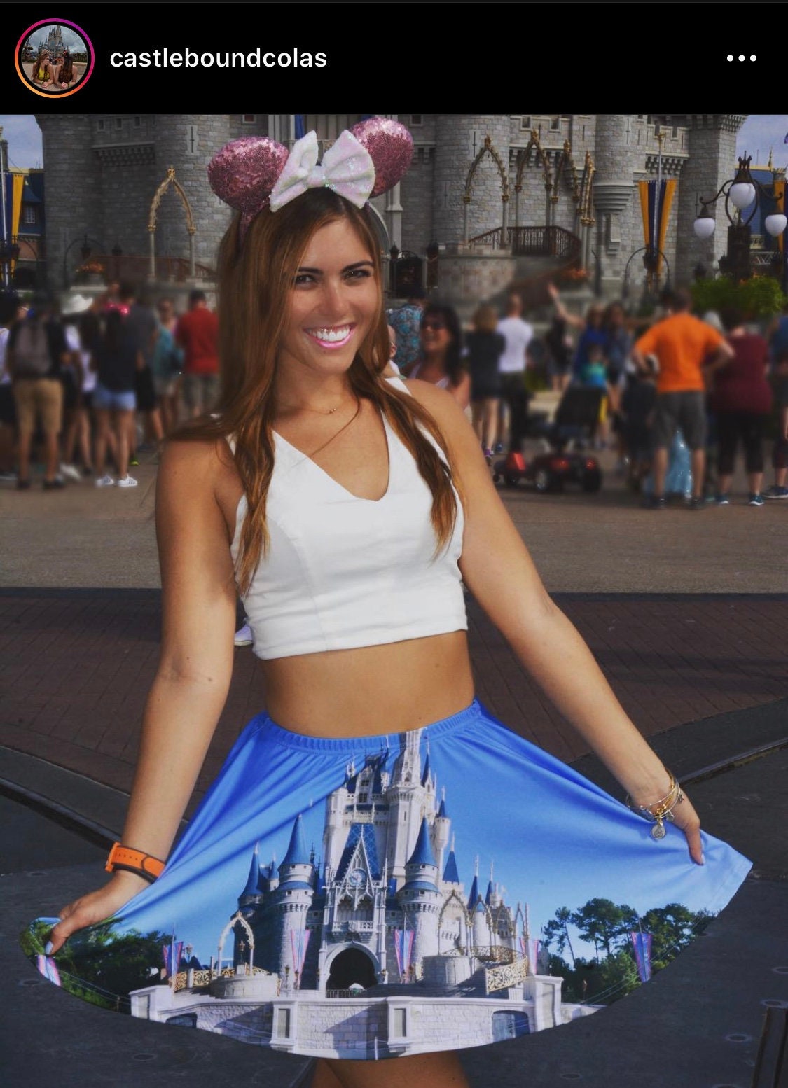 Cinde Castle Inspired Skater Skirt