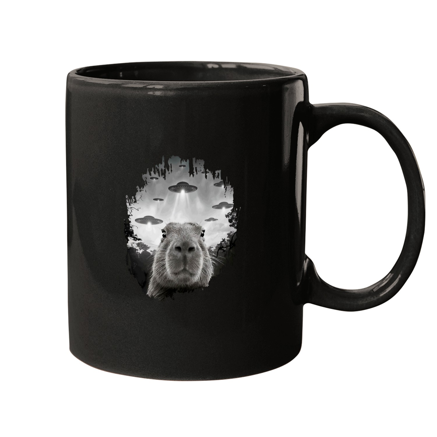capybaras Pet Selfie with UFOs Weird 1 8 Mugs