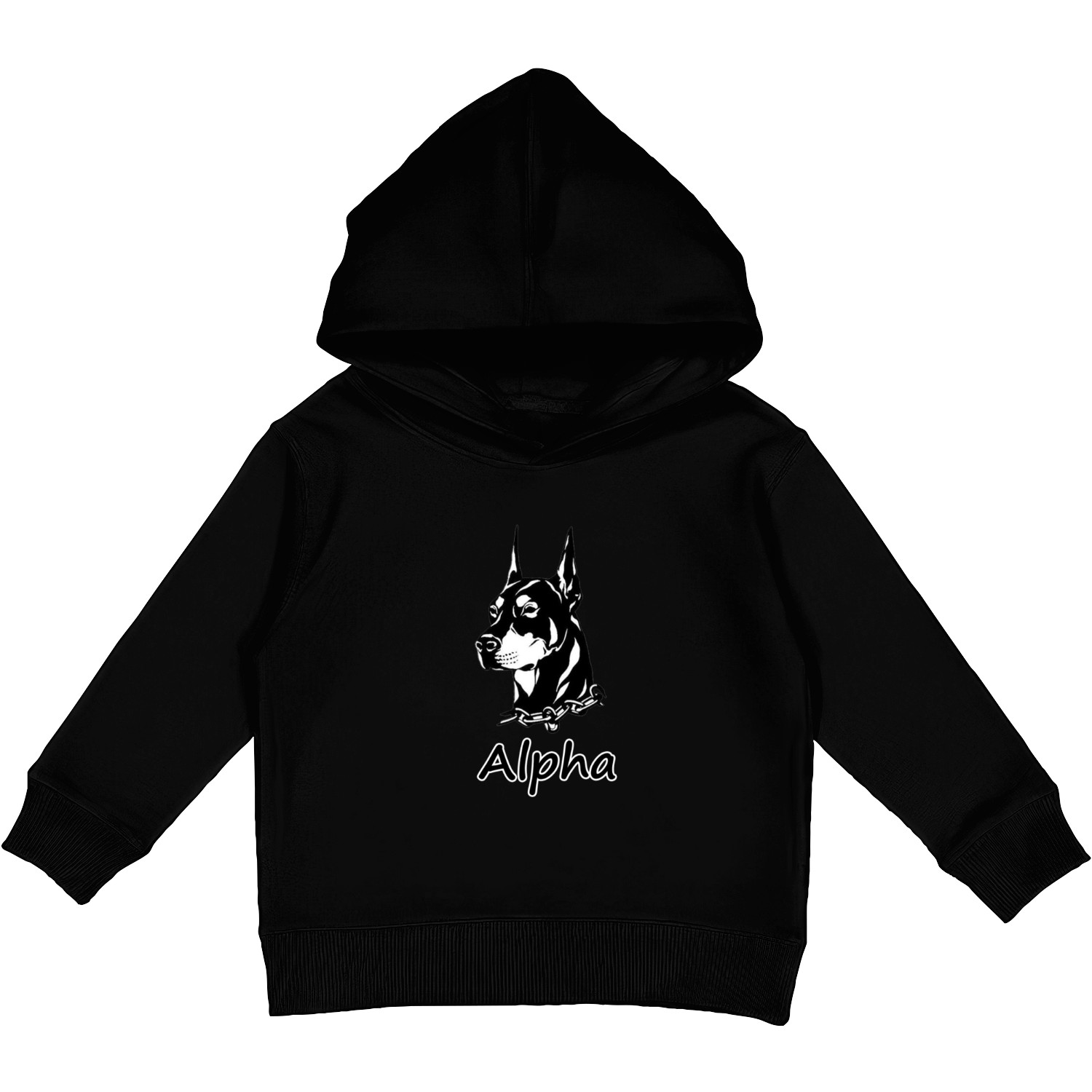 Alpha Kids Pullover Hoodies