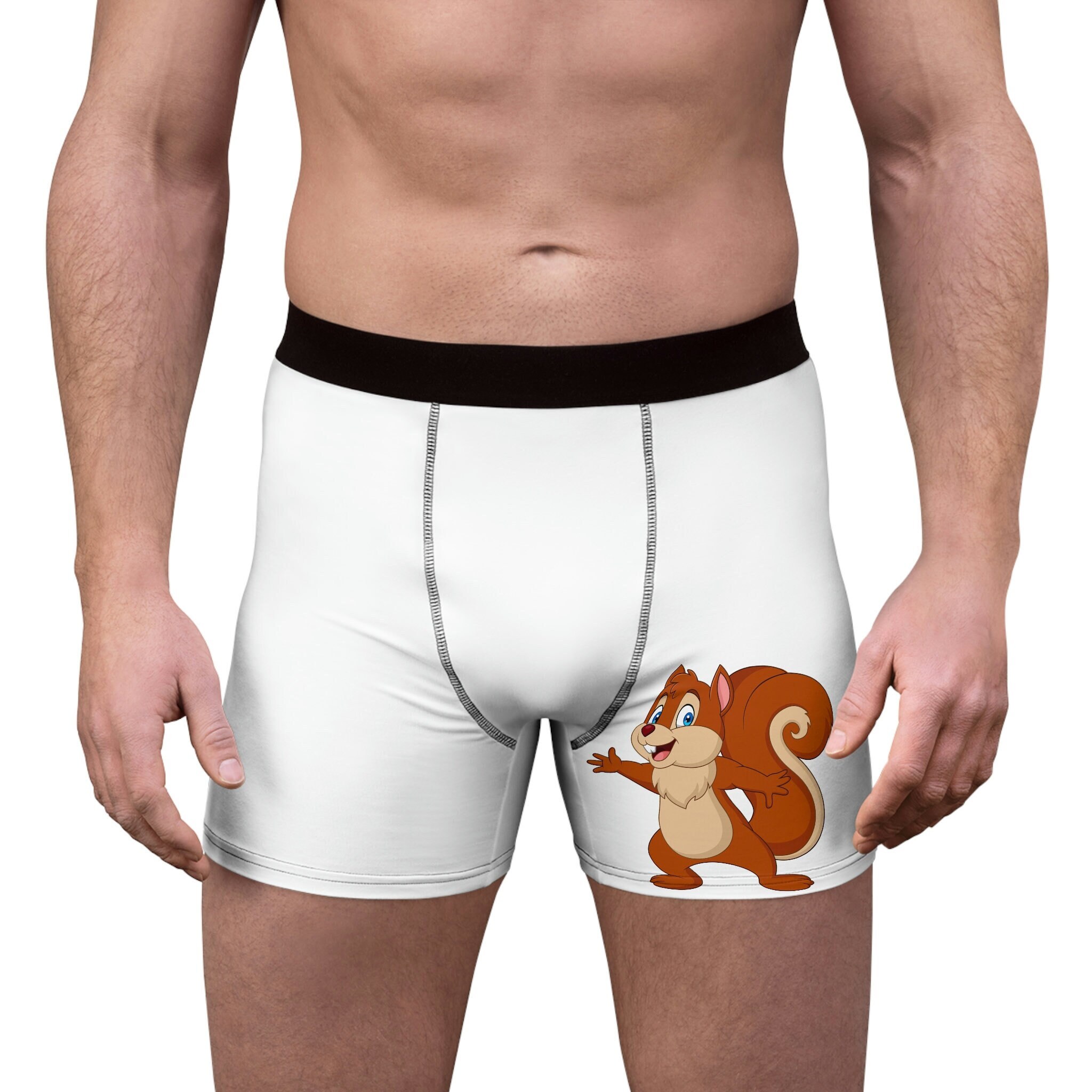 Cute Squirrel Looking for Nuts, Men's Boxer Briefs