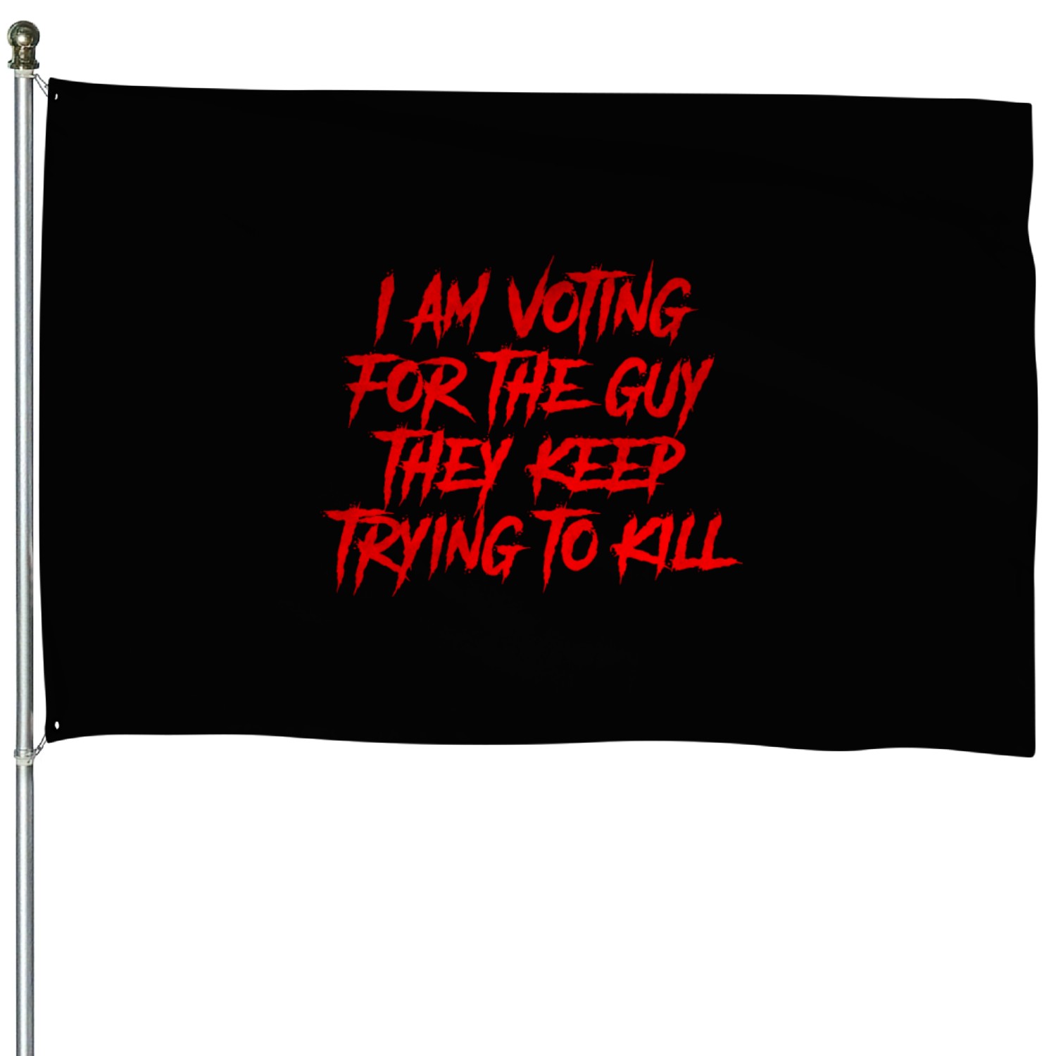 I m voting for the guy they keep trying to House Flags