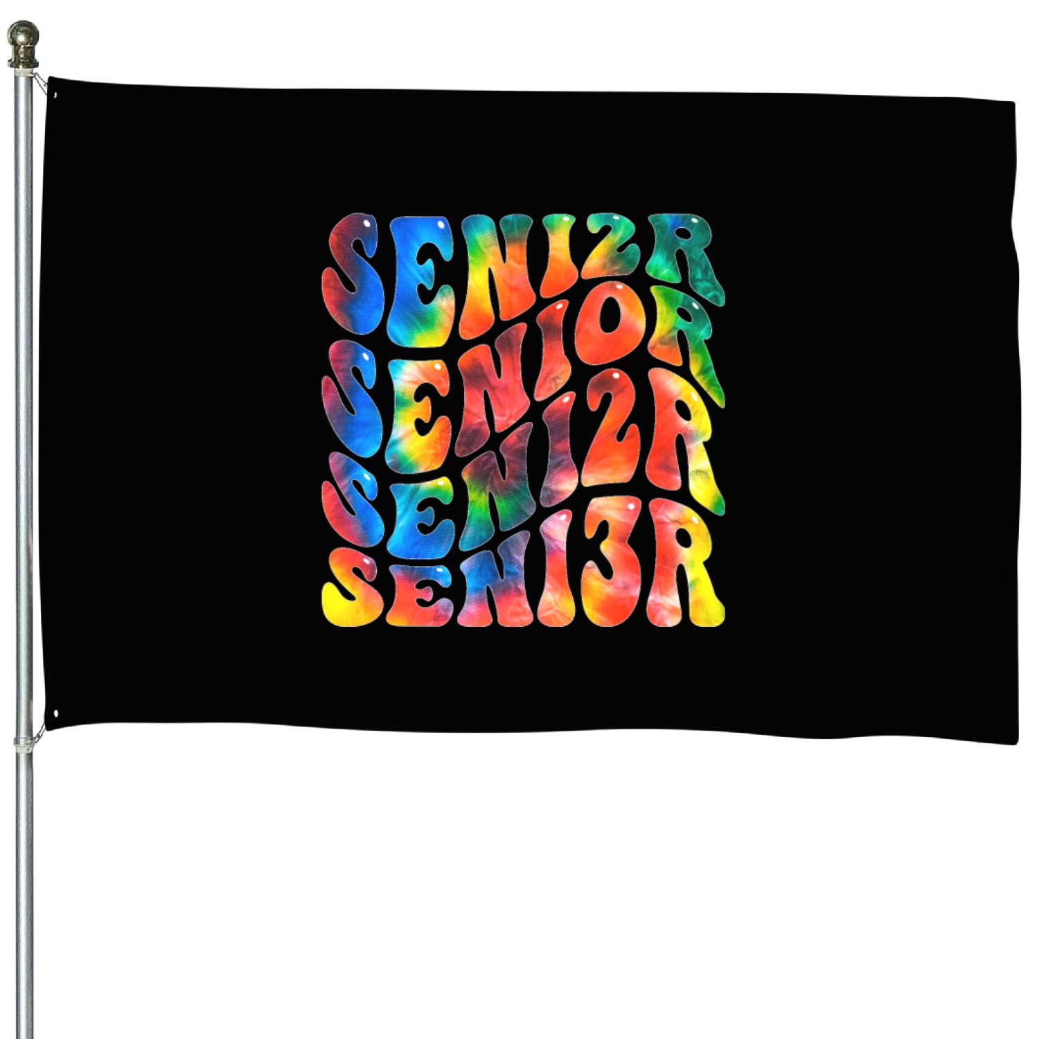 Senior Graduation Back To School Class of 2023 House Flags