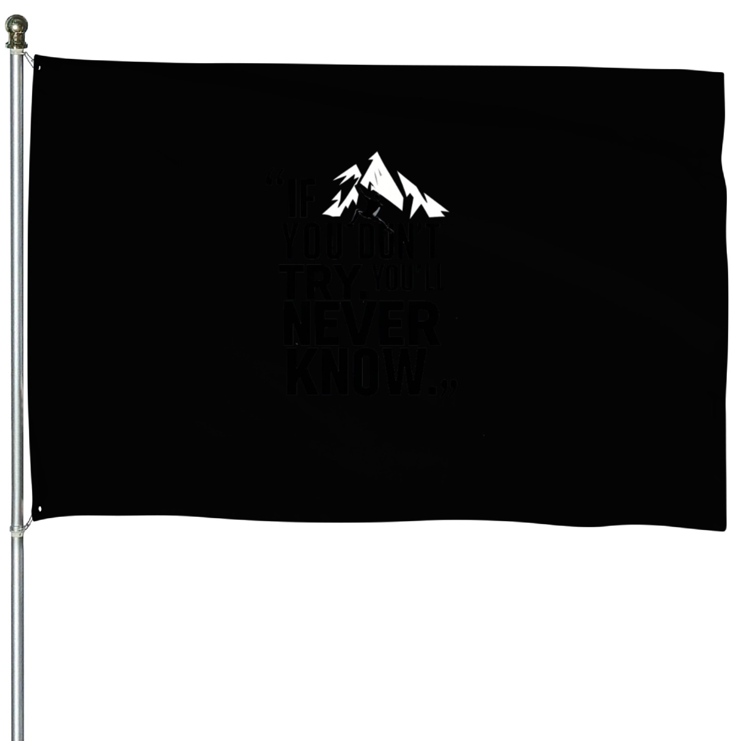 If you don't try, you'll never know. House Flags