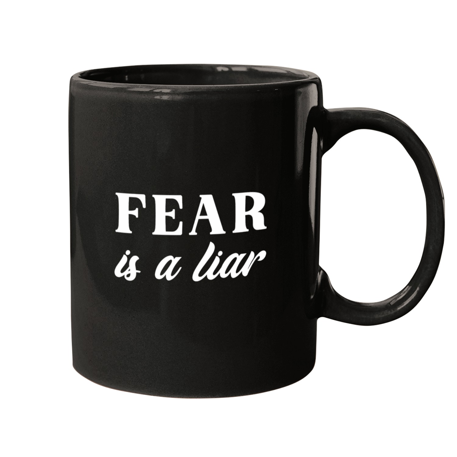 Fear is a liar Great Ironic Motivation Quote Mugs