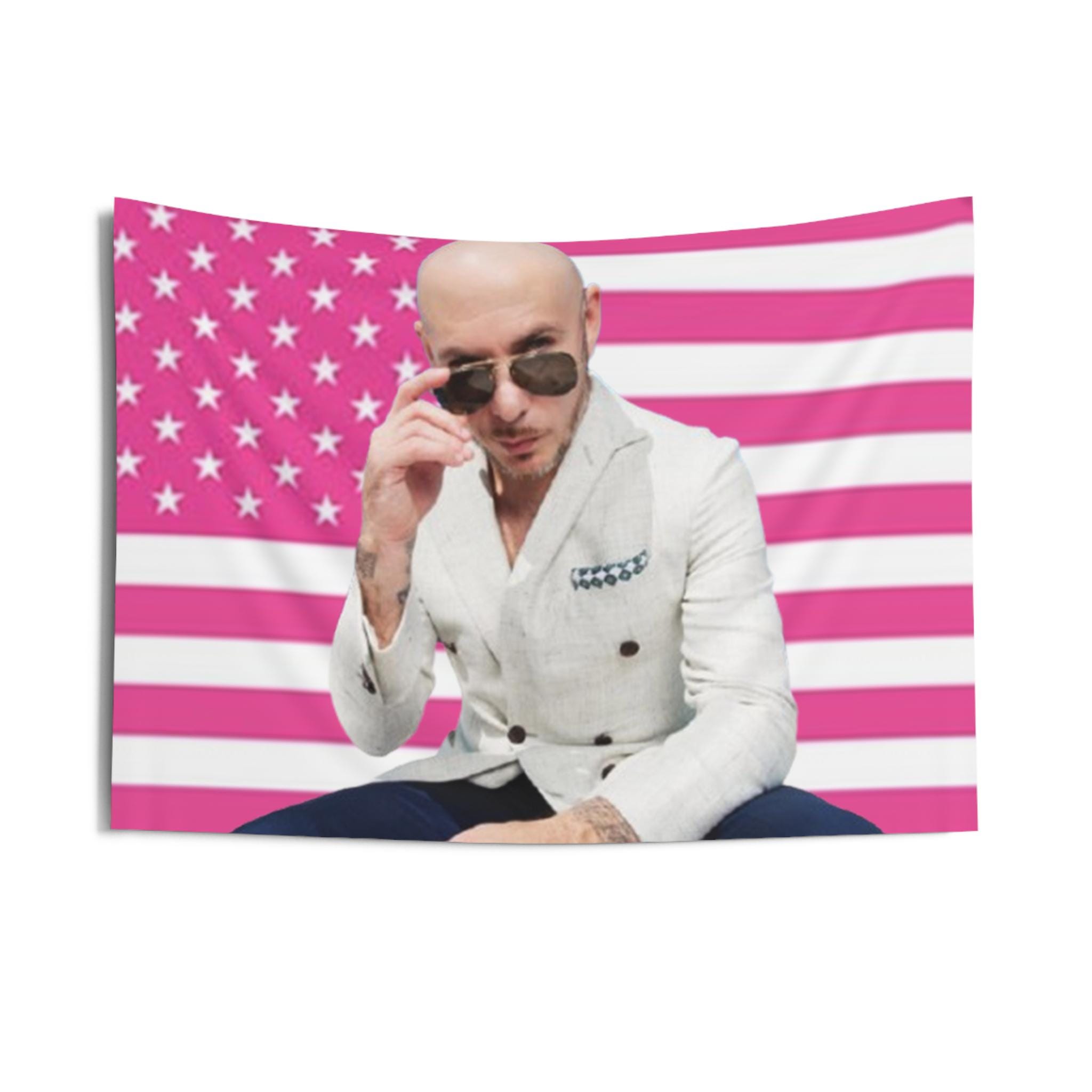 Mr Pitbull Funny Meme Indoor Wall Tapestry