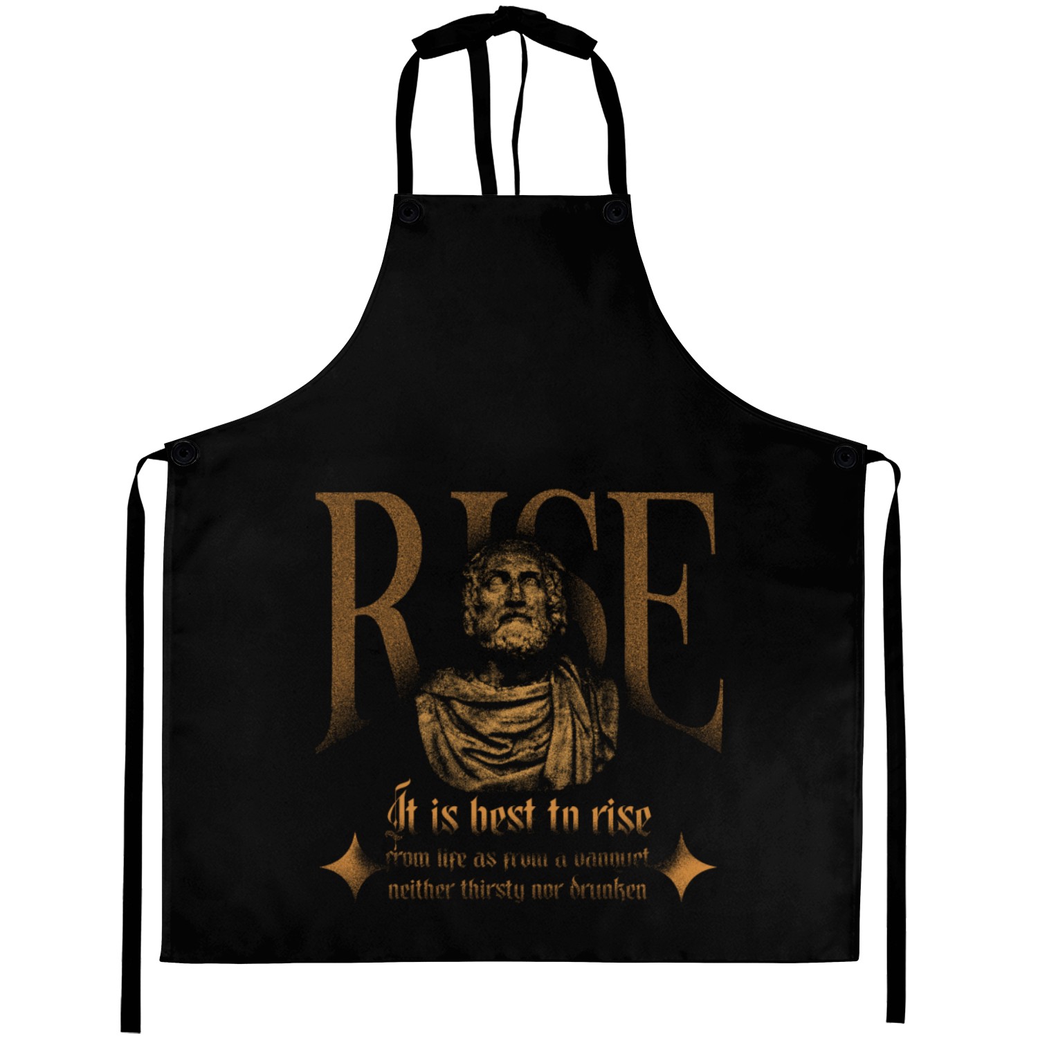 Vintage Aristotle Philosopher Life Quote Aprons
