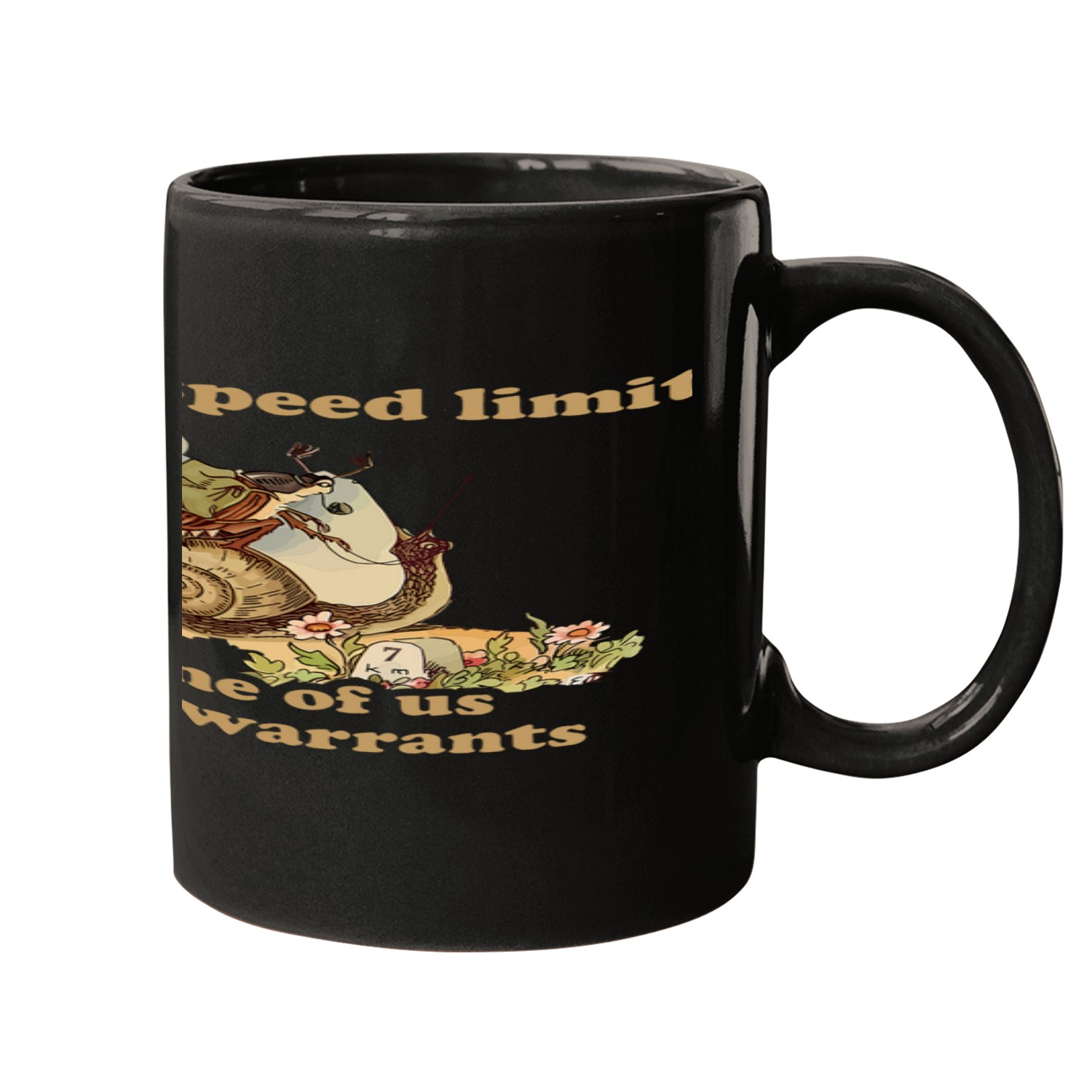 I Drive the Speed Limit Some of Us Have Warrants 1 Mugs