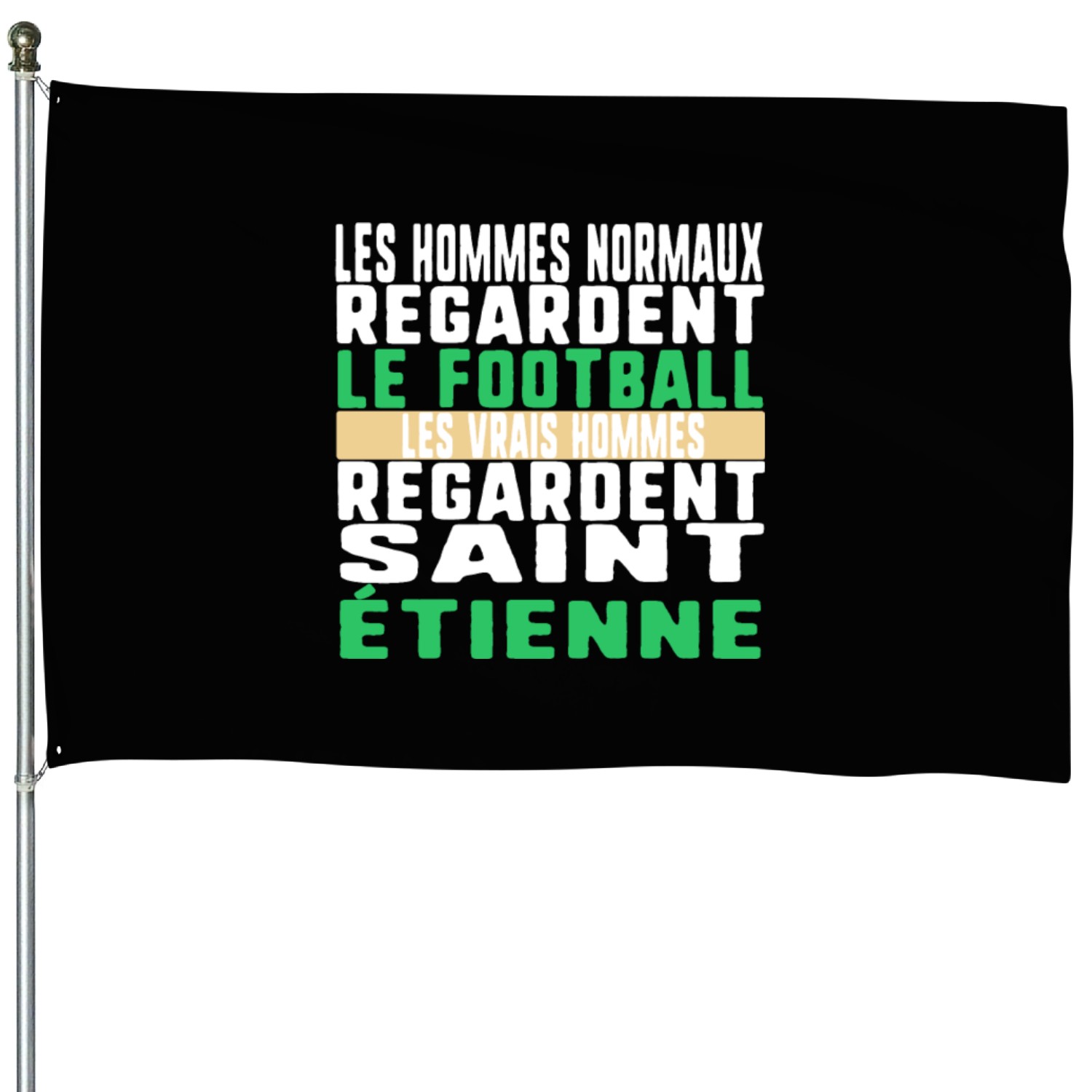 Les Hommes Normaux Regardent Le Football Les House Flags