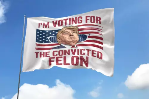 I'm Voting Convicted For The Felon 2024 Election Trump Supporters USA Flag, USA Election Flag, Political Flag, For Decoration