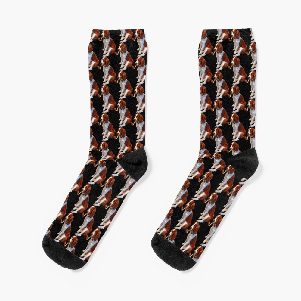Welsh Springer Spaniel Puppy Socks