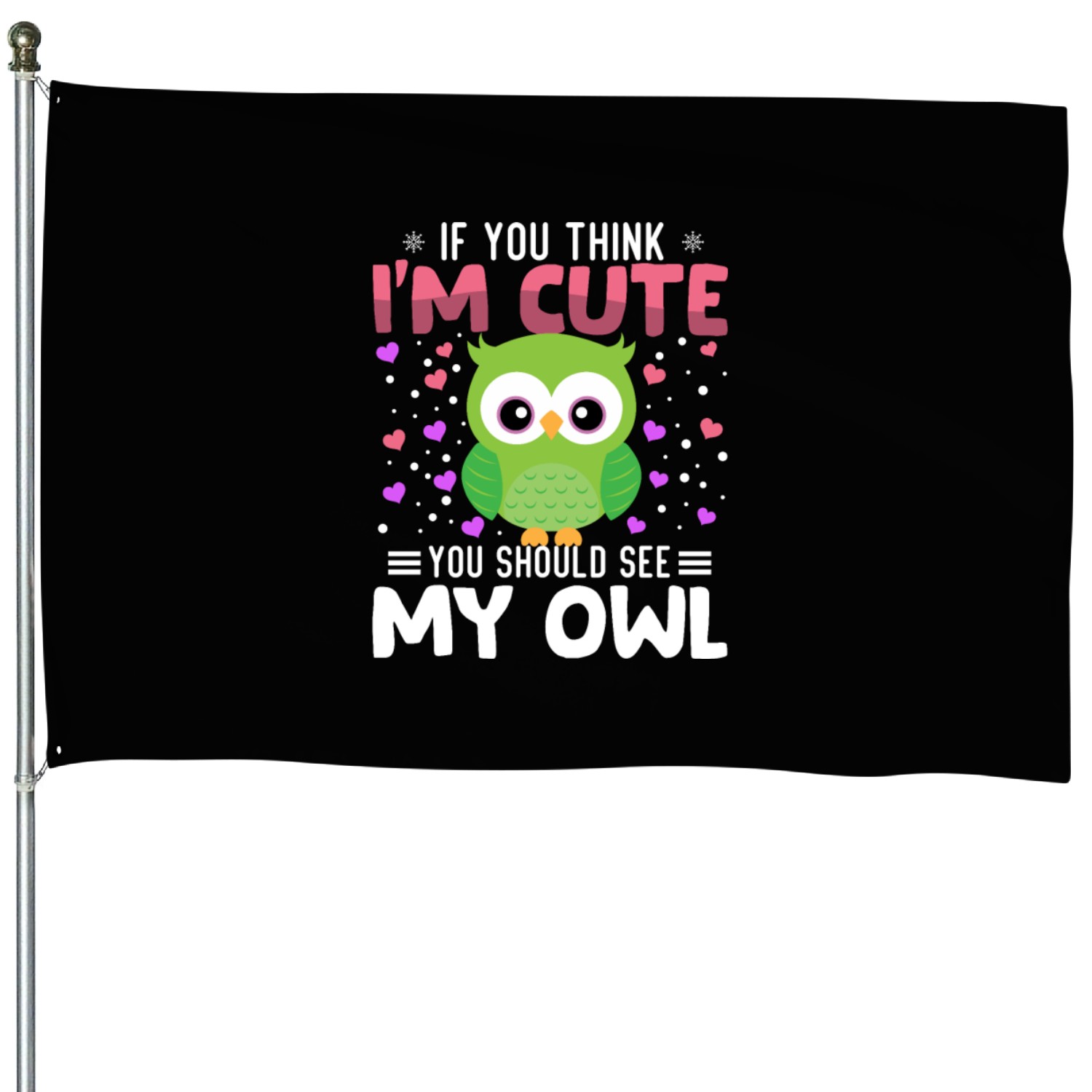Owl Heart Valentine's Day Animal For Womens Kids House Flags