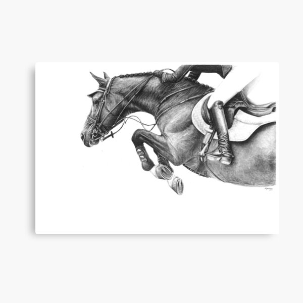 Flick - Showjumping Horse Canvas