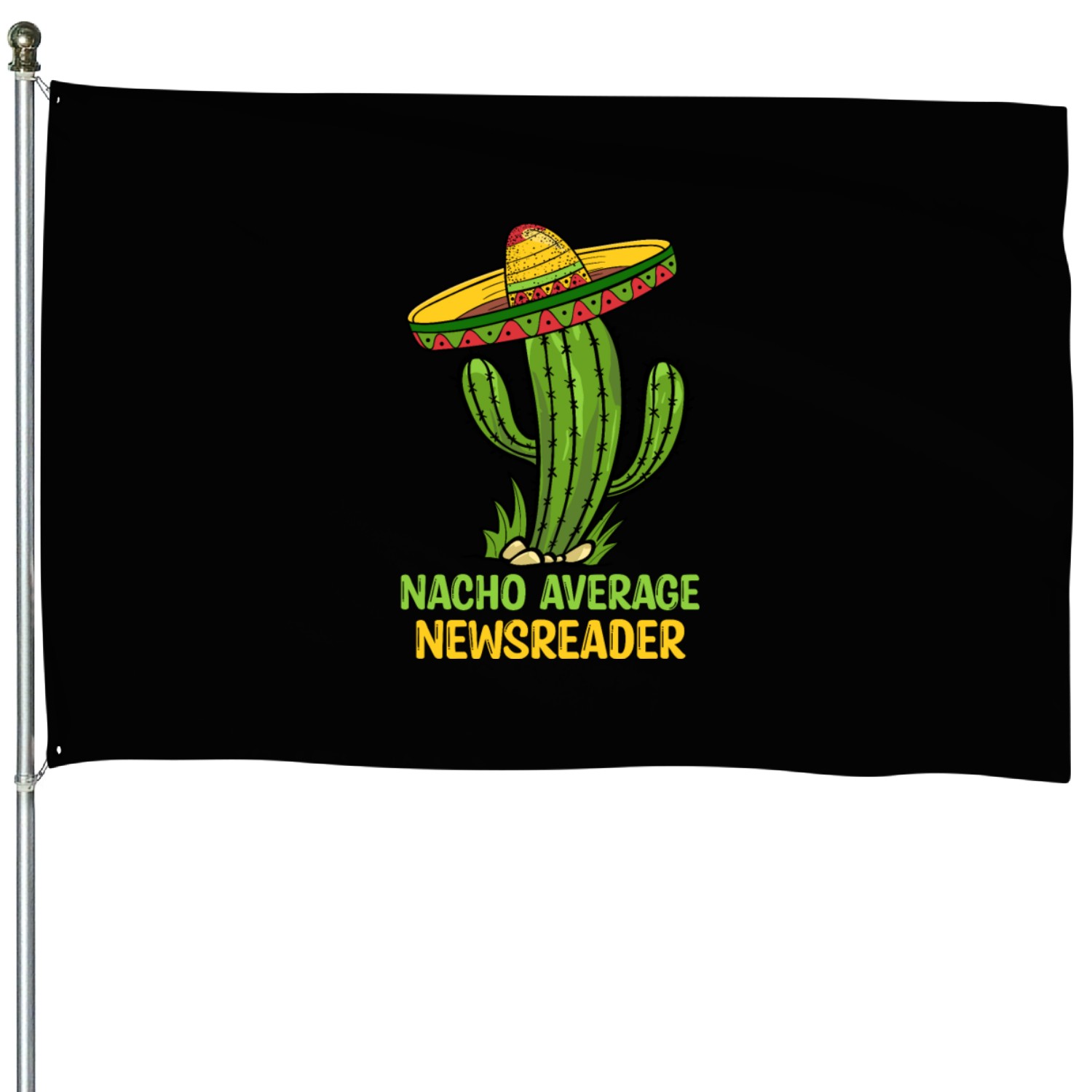 Nacho Average Newsreader House Flags
