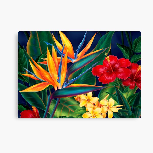 Tropical Paradise Hawaiian Birds of Paradise Illustration Canvas
