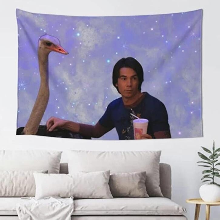 Funny Spencer Tapestry, Funny Meme Tapestries Bedroom Living Room Home Decor, Party College Room & Hostel Dorm Decor, Meme Tapestry Gift
