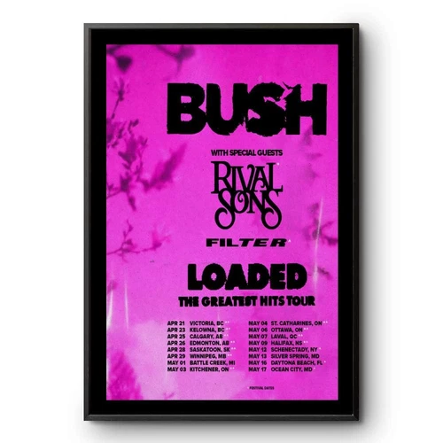 Bush The Greatest Hits Tour 2025 Poster