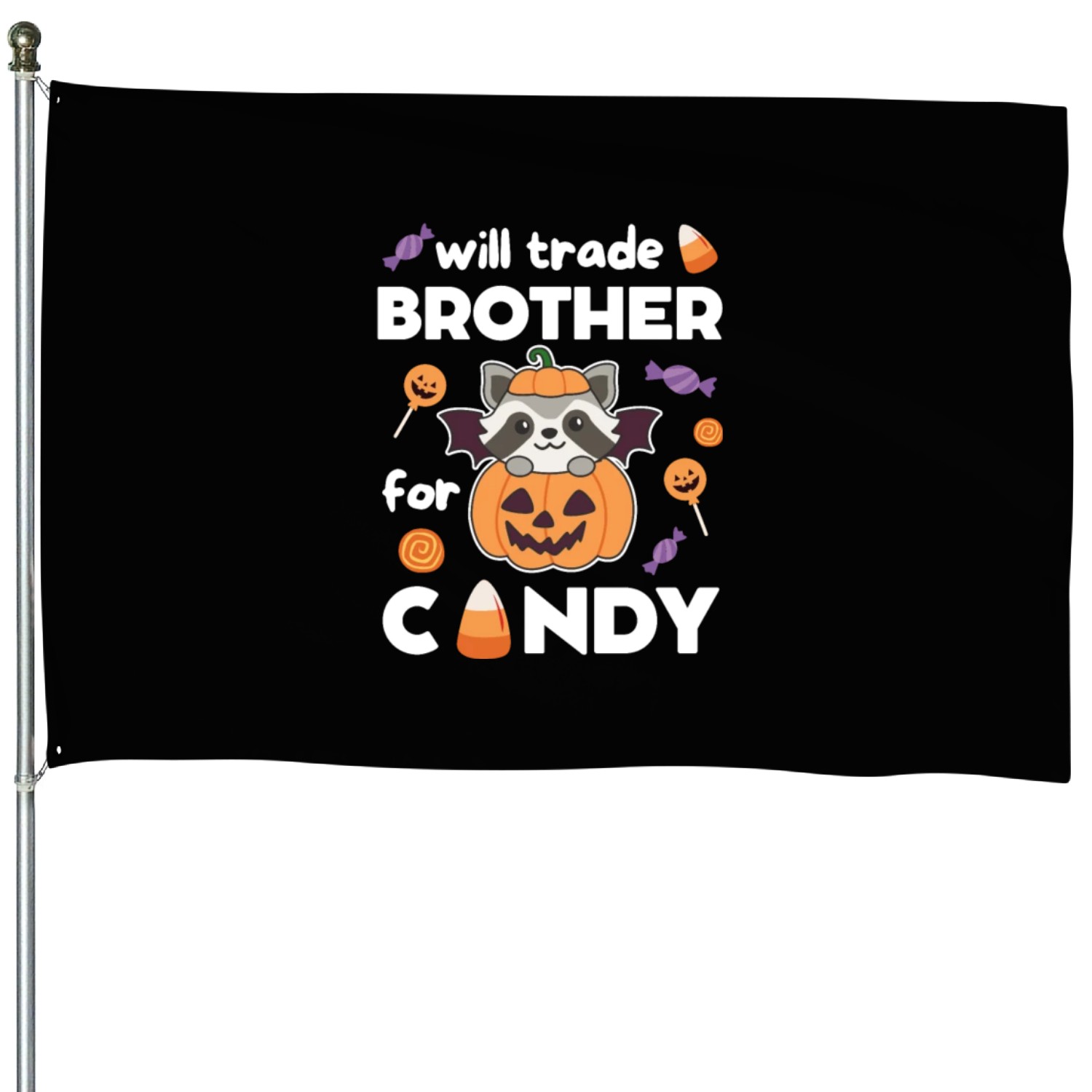 Raccoon Halloween Trade Brother For Candy House Flags