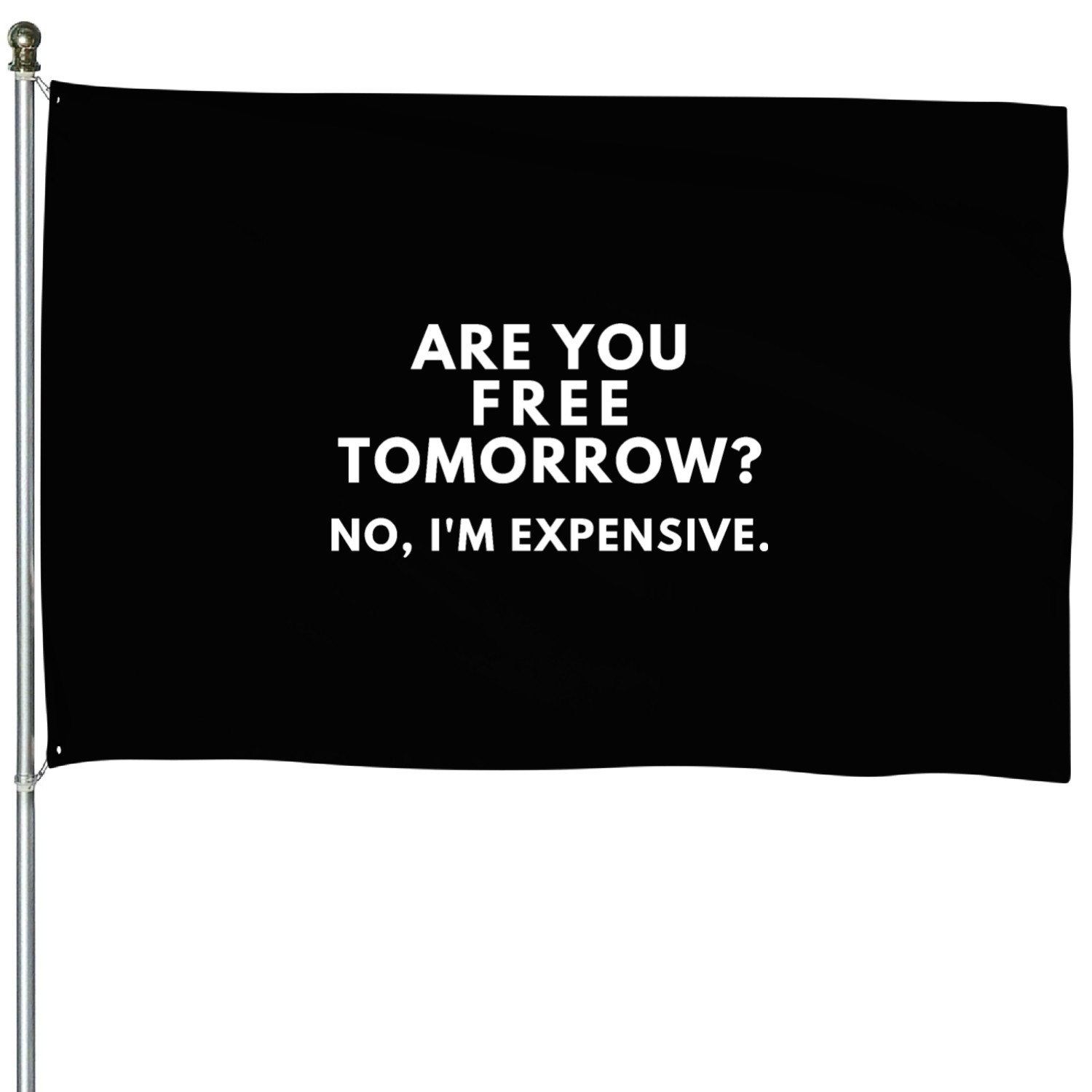 Are You Free Tomorrow? No, I'm Expensive. House Flags