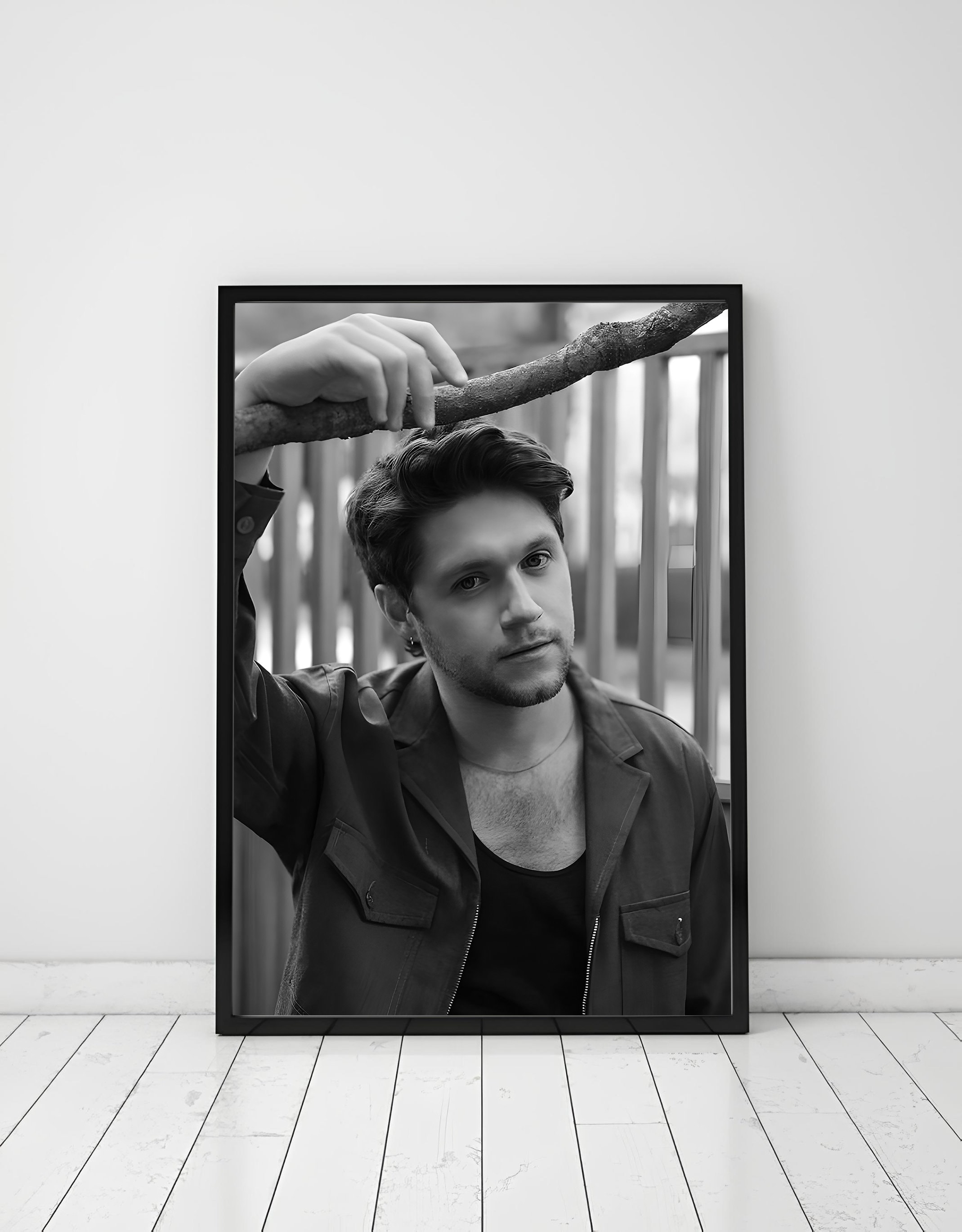 The Show Live On Tour Poster, Niall Horan Poster
