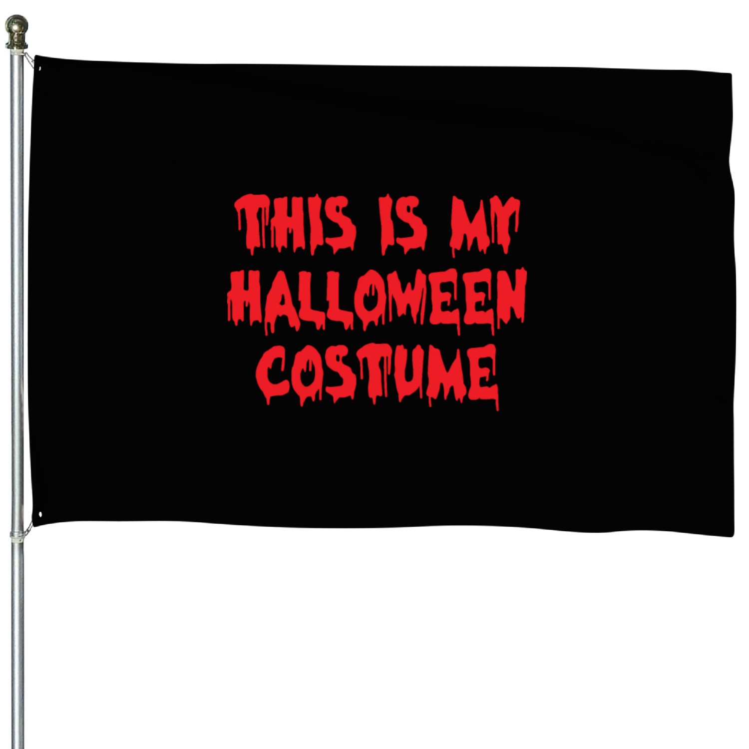 Retro Halloween Costumes 2022 House Flags