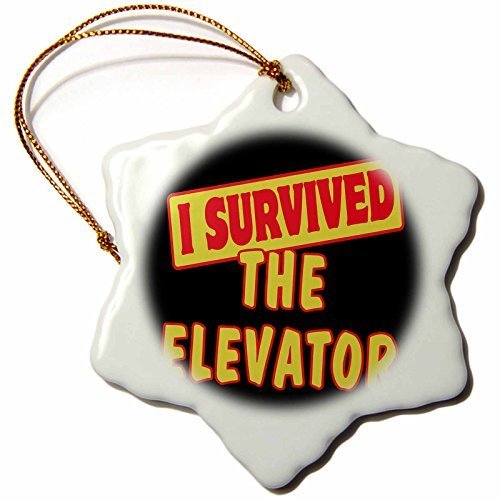 pansy 3-Inch Porcelain Snowflake Decorative Hanging Ornament, I Survived The Elevator Survival Pride and Humor Design