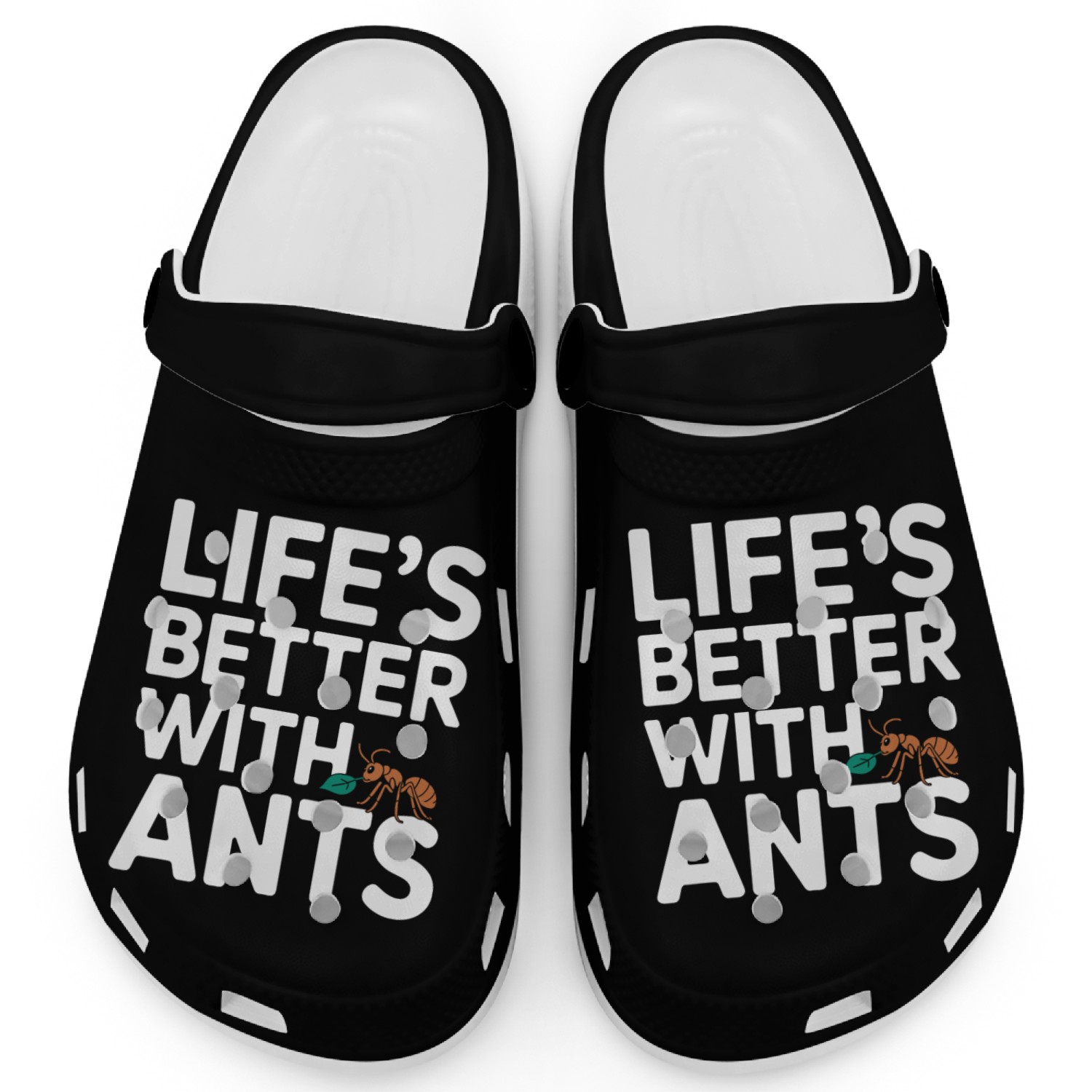 Explore the Fascinating World of Ant Keeping with Clogs