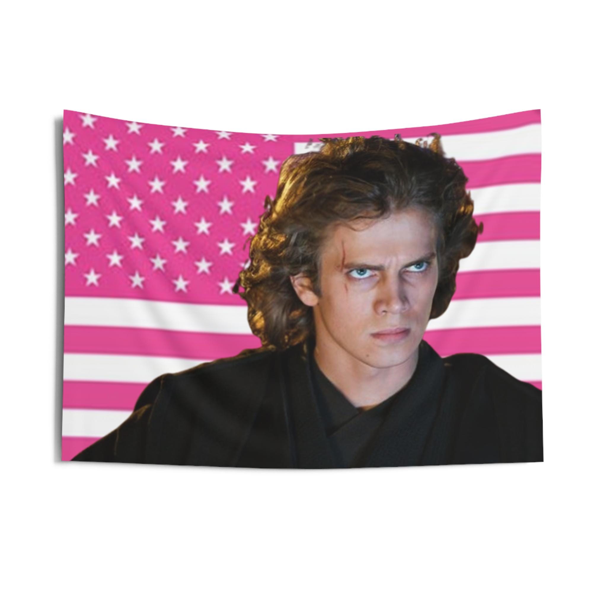 Anakin Skywalker Funny Meme Indoor Wall Tapestry