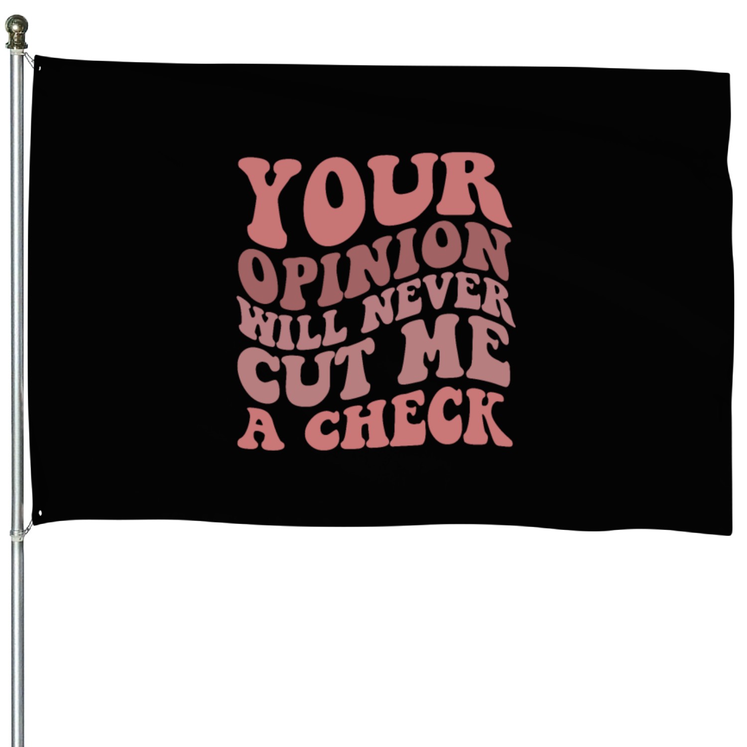 Your Opinion Will Never Cut Me A Check House Flags