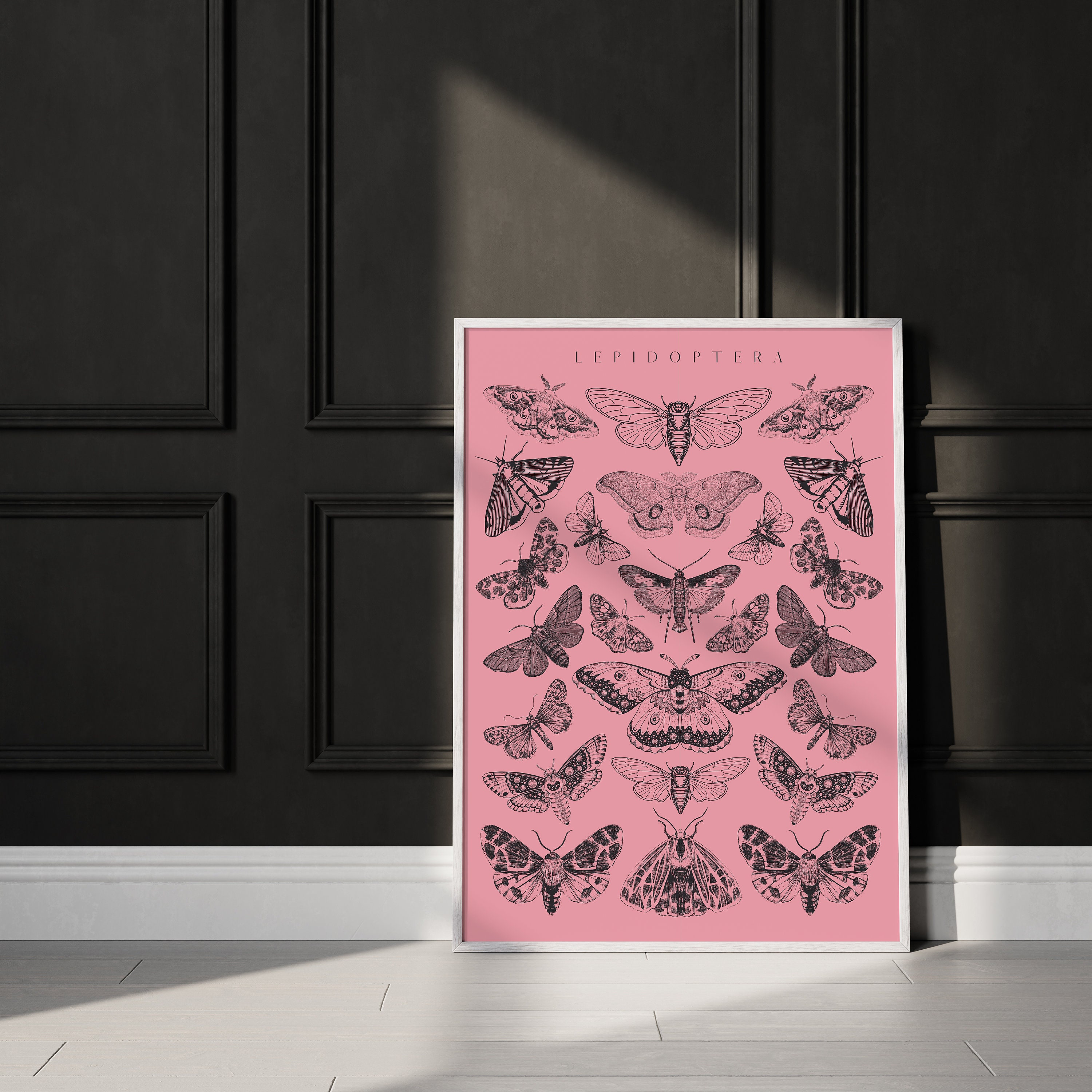 Pink Moth Print, Pastel Goth, Butterfly Taxidermy, Witchy Home Decor, Dark Cottagecore