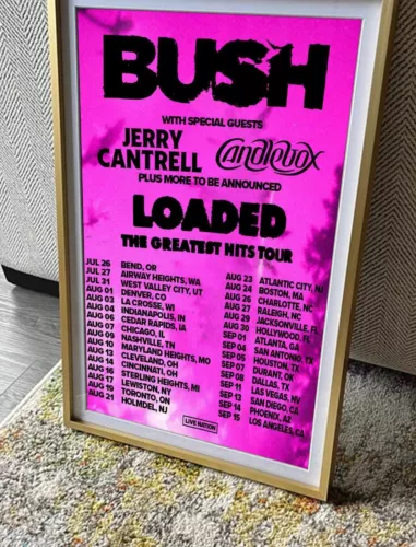 The Greatest Hits Tour 2024 Poster, Bush band Poster