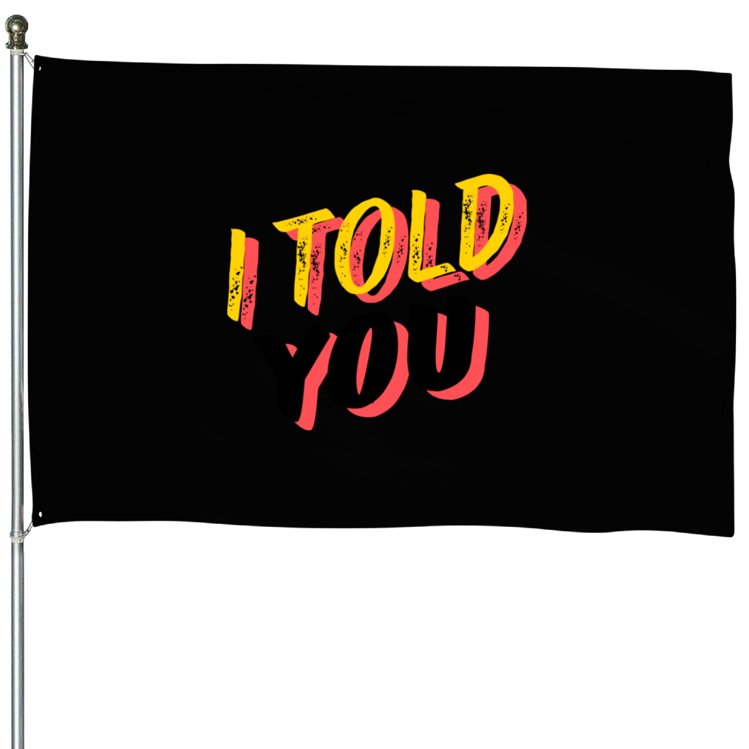 I Told You House Flags
